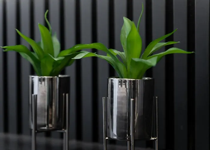 Margi Tokyo Lux Balcony Pool Sauna Štetín